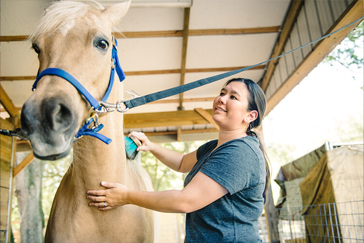 equine trainers