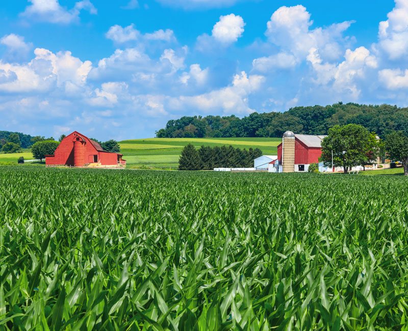 photo of farm