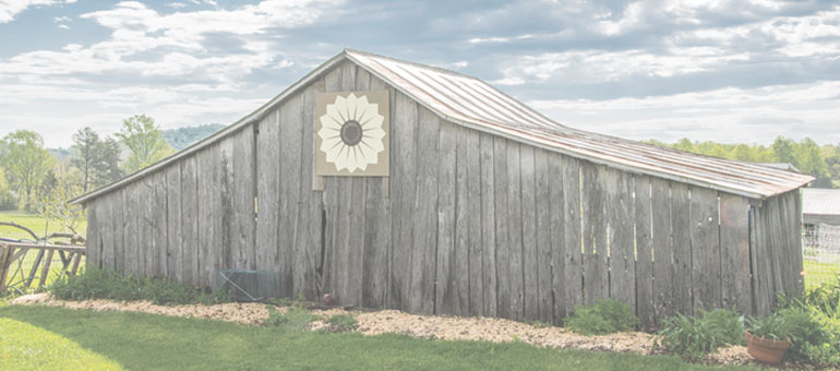 graphic barn quilt