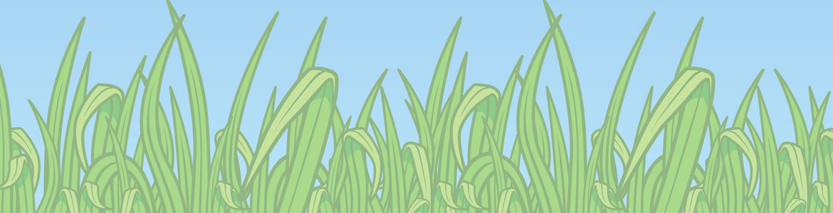 Graphic with grass