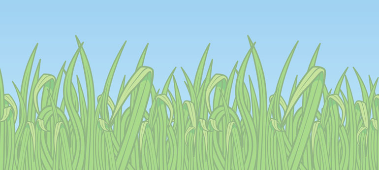 Graphic with grass