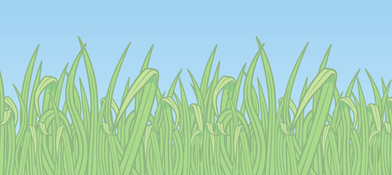 Graphic with grass