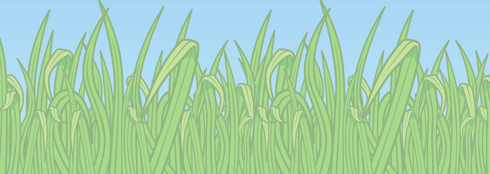 Graphic with grass