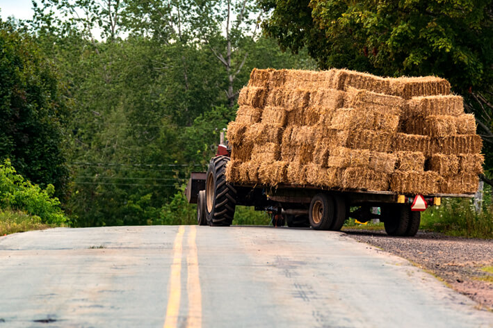 rural road