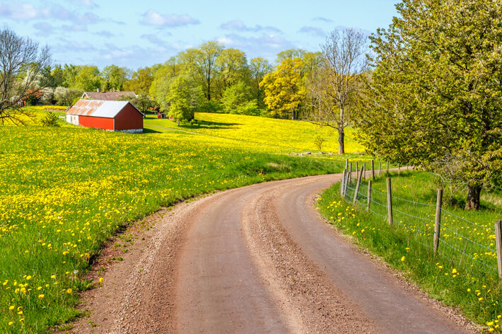 rural road