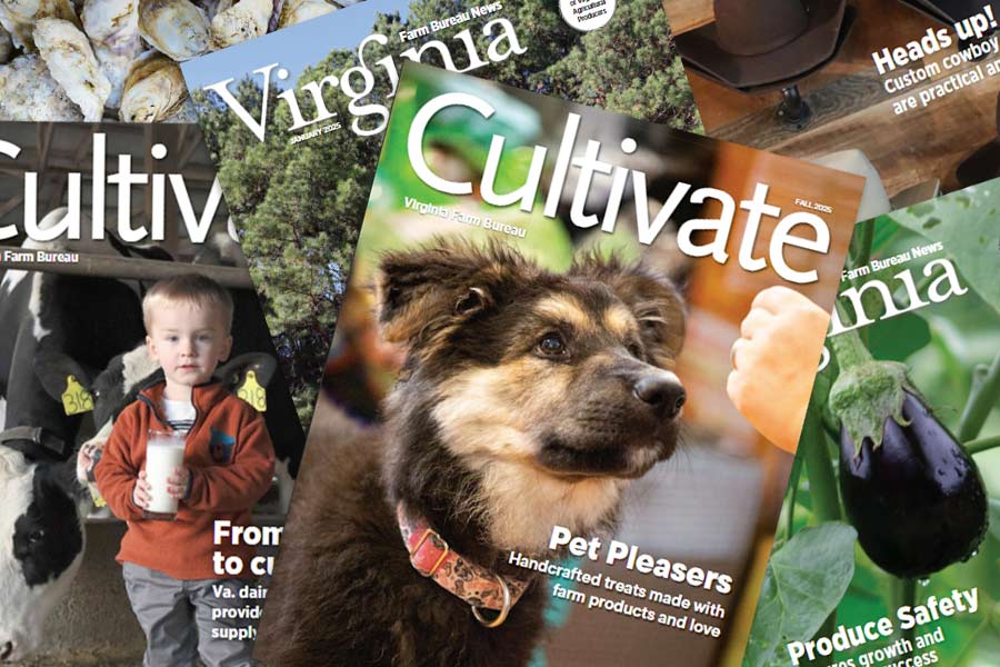 FBN member magazines