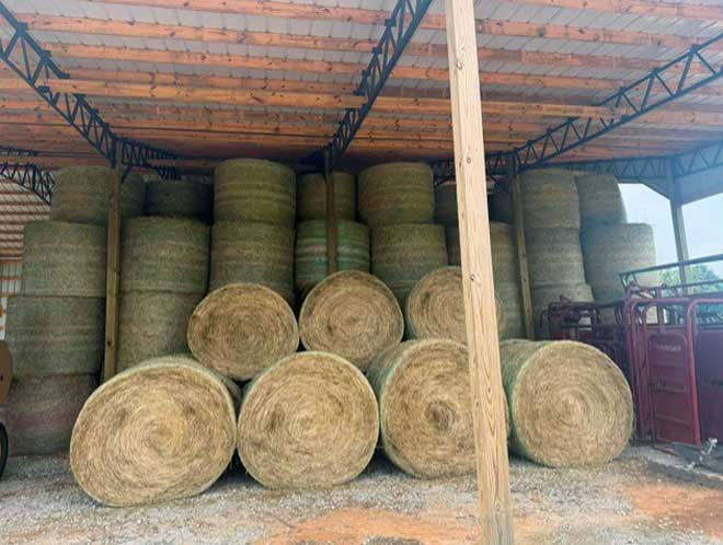 Haybales 3
