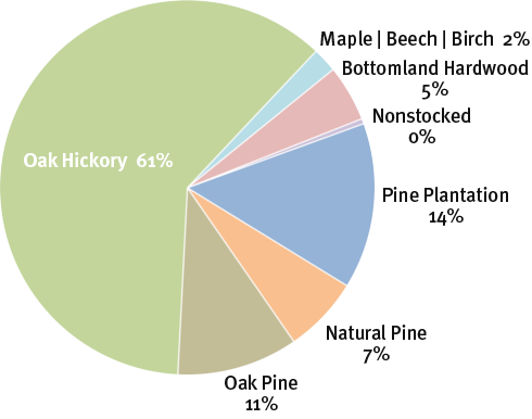 pie chart