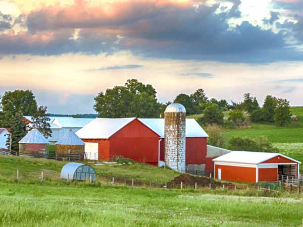 scenic farm