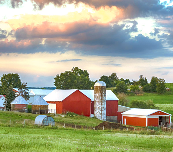 scenic farm