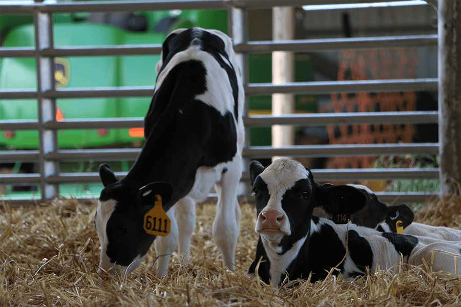 family moving into their crop