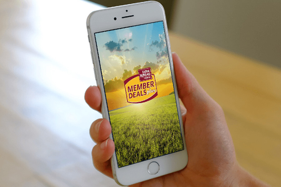 Member Deals Plus app open on smartphone